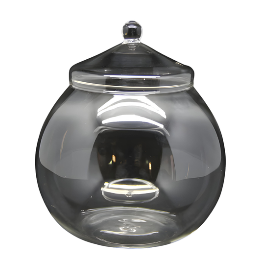 Terrarium Plante – Bocal Sphérique