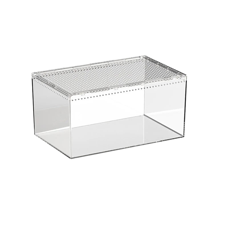 Terrarium Phasme en Acrylique Transparent