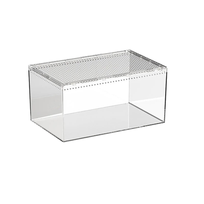 Terrarium Phasme en Acrylique Transparent