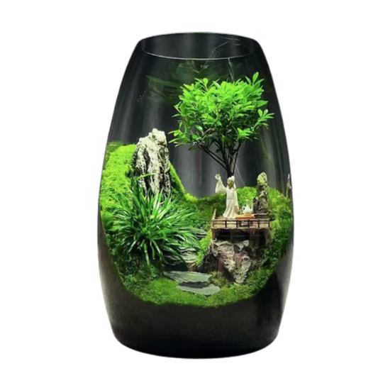 Terrarium Plante Bocal – Minimaliste en verre borosilicate
