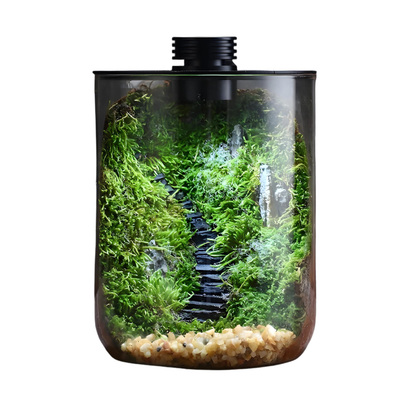 Terrarium Plante Bocal– Écosystème en Verre avec Éclairage LED & Contrôle d’Humidité