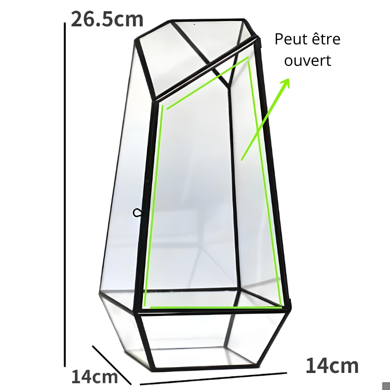 Grand Terrarium Plante – En Verre Design Géométrique