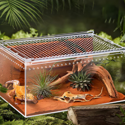 Terrarium gecko en acrylique