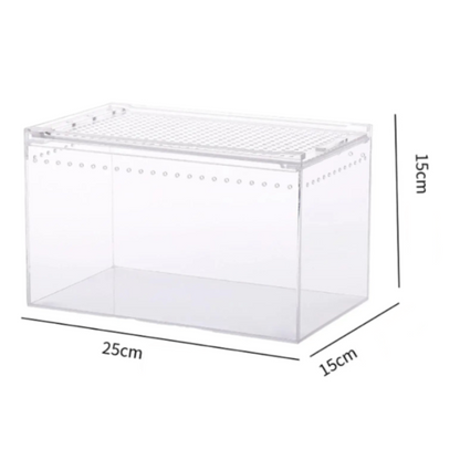 Terrarium gecko en acrylique