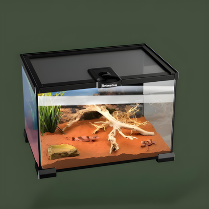 Terrarium Reptile - Enclos Naturel Compact pour Reptiles et Amphibiens