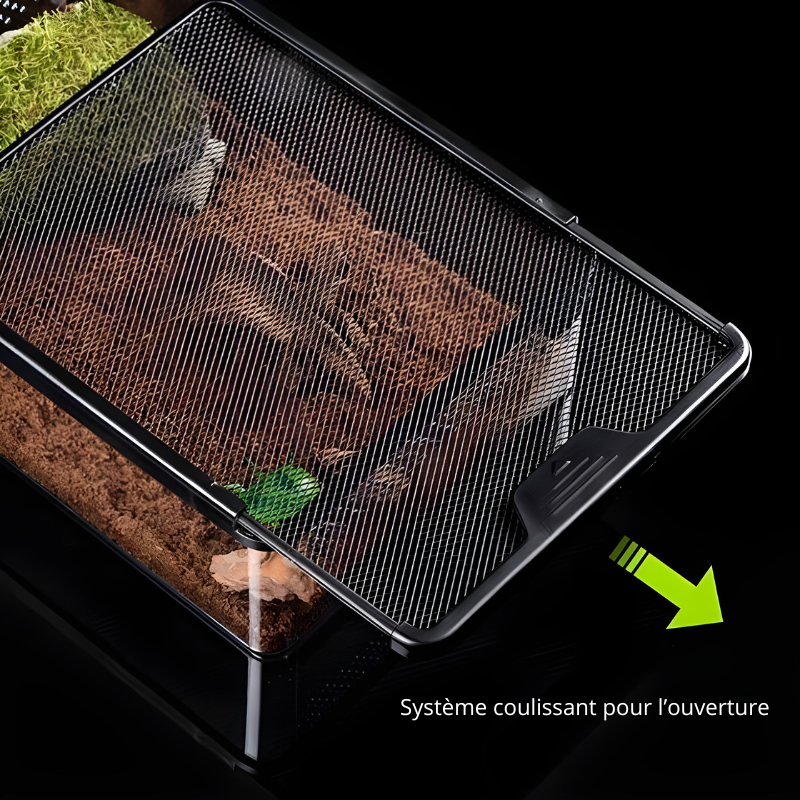 Terrarium Reptile Compact - Boîte d’Élevage Transparente