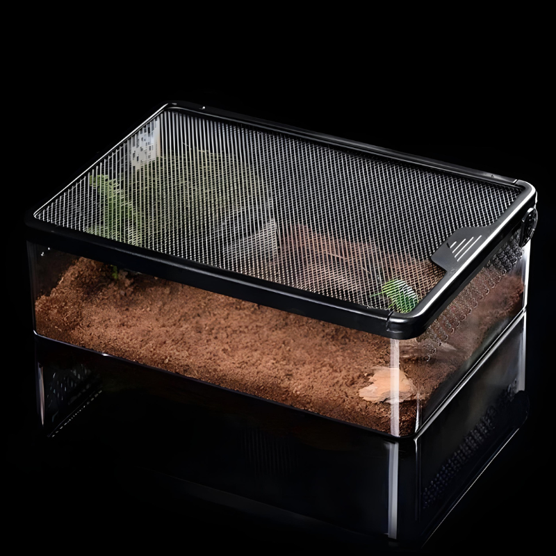 Terrarium Reptile Compact - Boîte d’Élevage Transparente