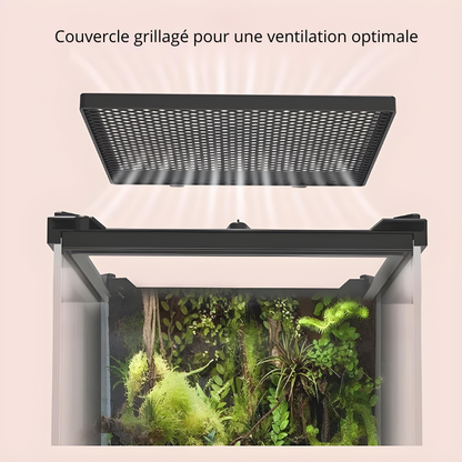 Terrarium Gecko en Verre Trempé – Habitat Sécurisé pour Reptiles & Amphibiens