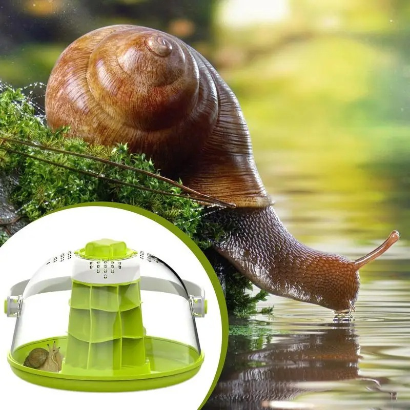Terrarium Escargot Portable – Boîte d’Élevage avec Poignée et Aération Supérieure