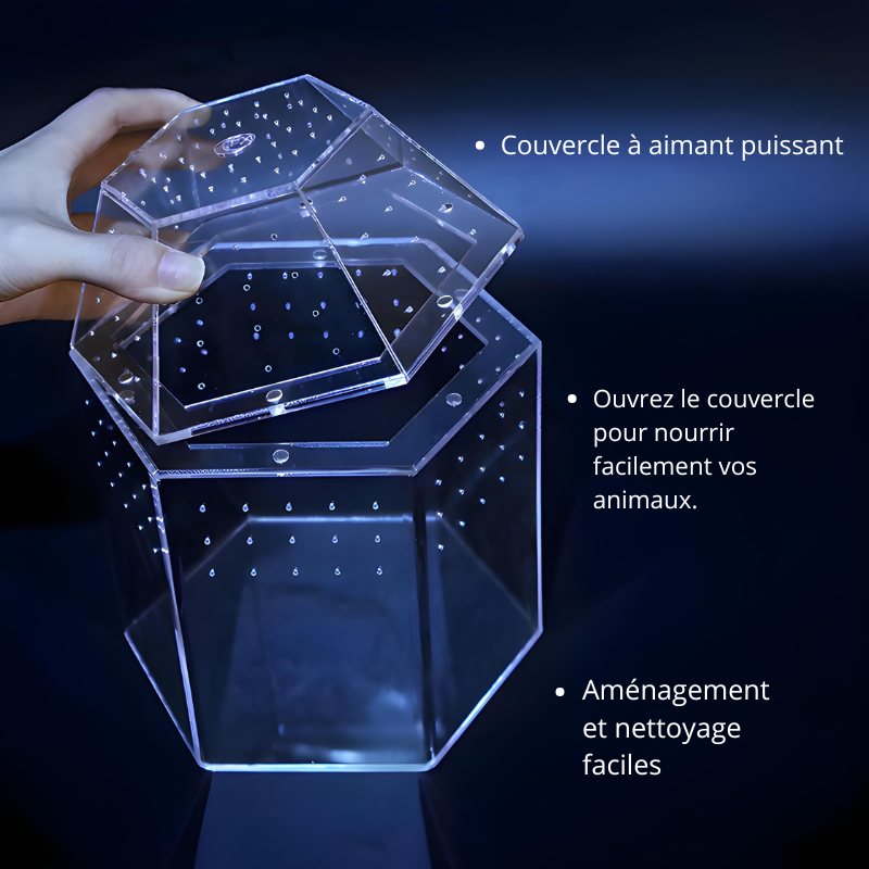 Terrarium Escargot Transparent 360° avec Aération Ultra-Fine