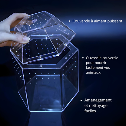 Terrarium Escargot Transparent 360° avec Aération Ultra-Fine