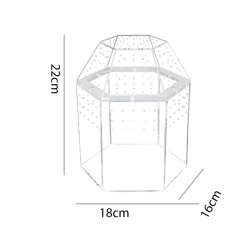 Terrarium Escargot Transparent 360° avec Aération Ultra-Fine