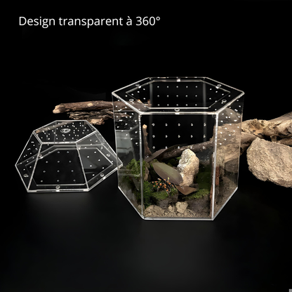 Terrarium Escargot Transparent 360° avec Aération Ultra-Fine