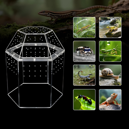 Terrarium Escargot Transparent 360° avec Aération Ultra-Fine
