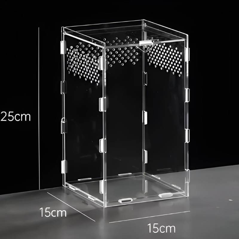 Terrarium Phasme Vertical Transparent – Boîte d’Élevage en Acrylique avec Aération