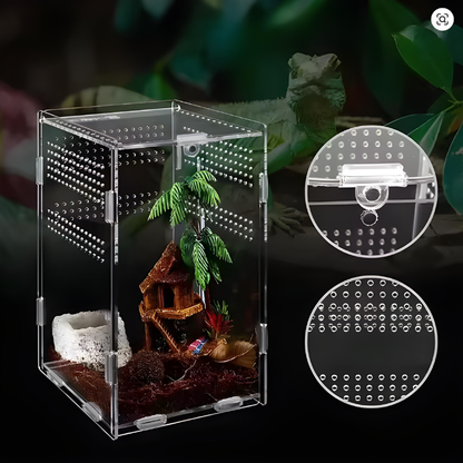 Terrarium Phasme Vertical Transparent – Boîte d’Élevage en Acrylique avec Aération