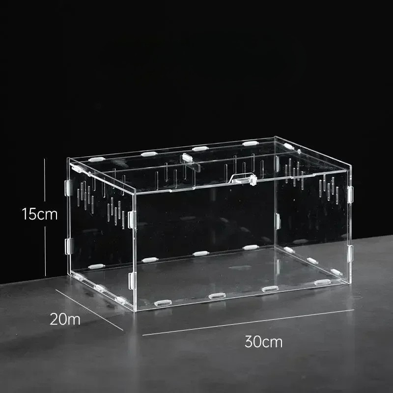 Terrarium Phasme Horizontal Transparent – Boîte d’Élevage en Acrylique avec Aération Moyen