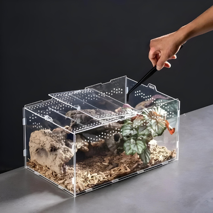 Terrarium Phasme Horizontal Transparent –  Boîte d’Élevage en Acrylique avec Aération Petit