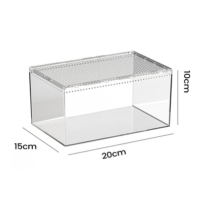 Terrarium Phasme en Acrylique Transparent