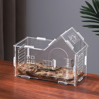 Terrarium Phasmes Transparent – Habitat idéal pour phasmes & petits insectes