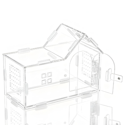 Terrarium Phasmes Transparent – Habitat idéal pour phasmes & petits insectes