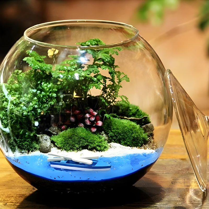 Terrarium Plante – Bocal Sphérique