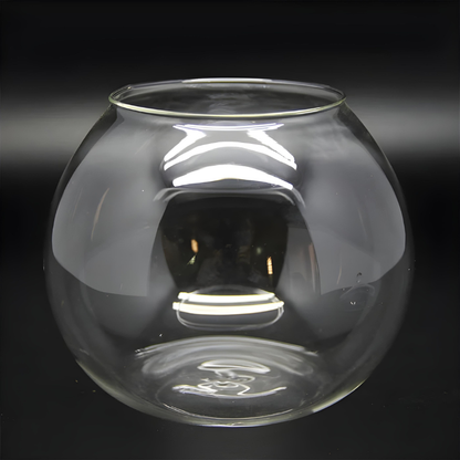 Terrarium Plante – Bocal Sphérique