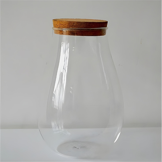 Terrarium Plante - Design Goutte d’Eau en Verre