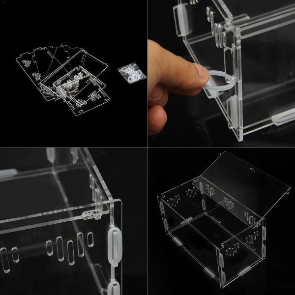 Terrarium Reptile- Transparent en acrylique