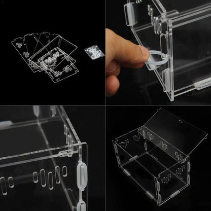 Terrarium Reptile- Transparent en acrylique