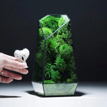 Grand Terrarium Plante – En Verre Design Géométrique