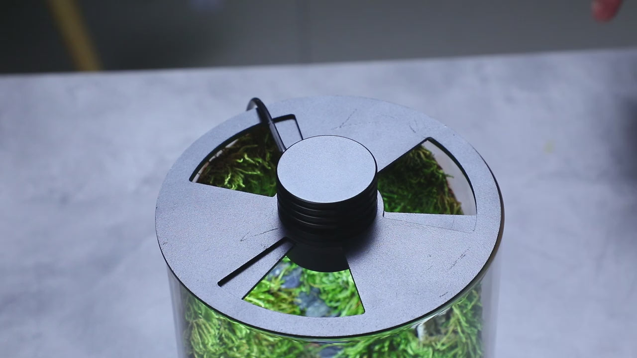 Charger la vidéo : 