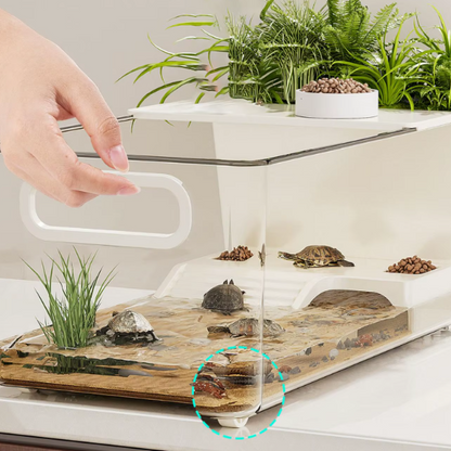 Terrarium Tortue Aquatique Multifonction